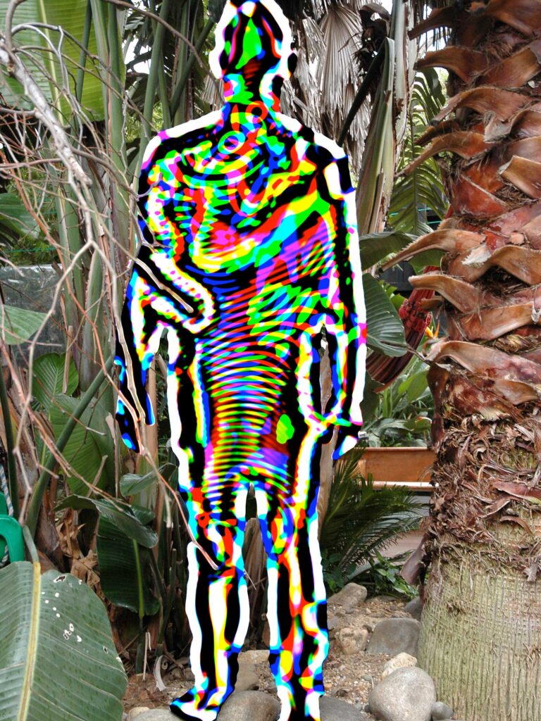 21_peterRF_12